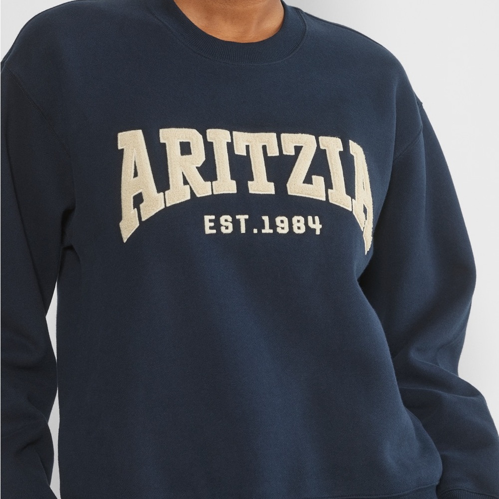 Aritzia Sweatfleece Crewneck
